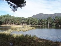 El camí que voreja l´estany passa ben a prop de l´aigua.