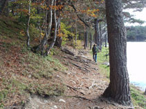 Passejant pel costat de la bassa.