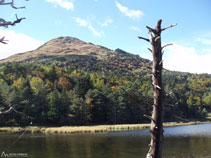 El Montcorbison (2.176m) s´alça per sobre la Bassa d´Oles, ben a la vora.