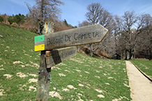 Senyalització del Bosc de Gamueta, sempre amb els colors verd i groc.