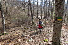 Avançant per l´interior d´una fageda.