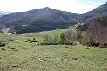 Al fons de la vall hi reconeixem la carretera que va de Zuriza a Linza.