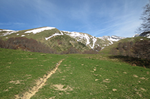 Una gran zona de pastura precedeix el punt per on hem de creuar el torrent.