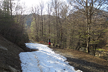 Baixant per la pista.