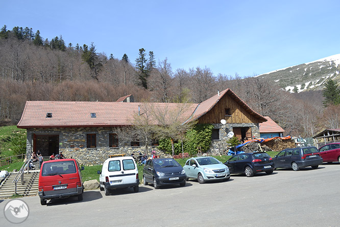 Bosc de Gamueta des del refugi de Linza 1 