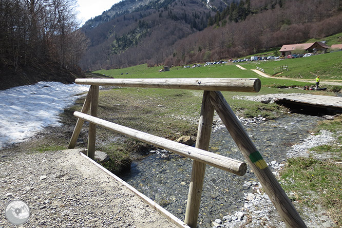 Bosc de Gamueta des del refugi de Linza 1 