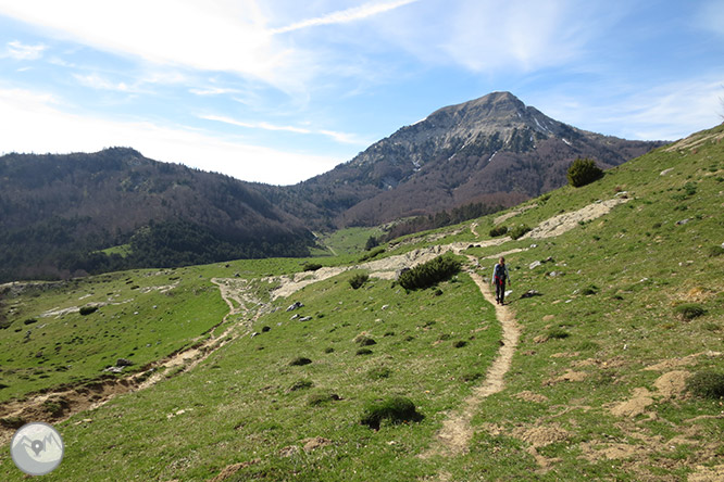 Bosc de Gamueta des del refugi de Linza 1 