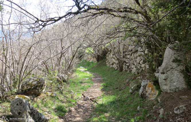 Cascada del Molí del Salt des de Viliella 1 