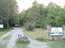 Seguim recte amunt i ens introduïm al bosc.