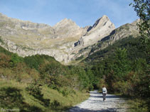 Tot sortint del bosc veiem el pic de Pineta i la Punta del Forcarral.