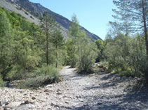 Transitem per un areny ple de còdols, sediments i vegetació de ribera.