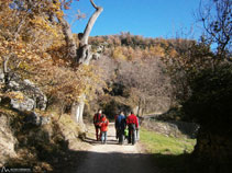 Els primers passos de la ruta transcorren per la pista.