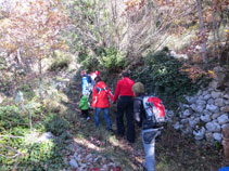 El camí pel bosc és fàcil i agraït.