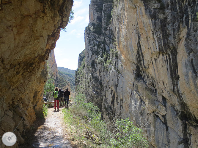 Congost de Mont-rebei a la serra del Montsec 1 