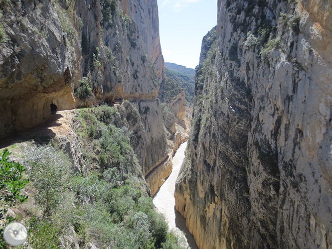 Congost de Mont-rebei a la serra del Montsec 1 