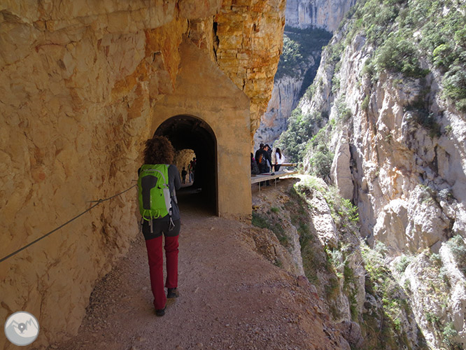 Congost de Mont-rebei a la serra del Montsec 1 