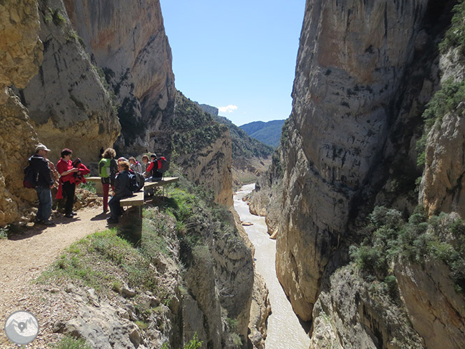 Congost de Mont-rebei a la serra del Montsec 1 