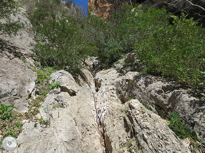 Congost de Mont-rebei a la serra del Montsec 1 