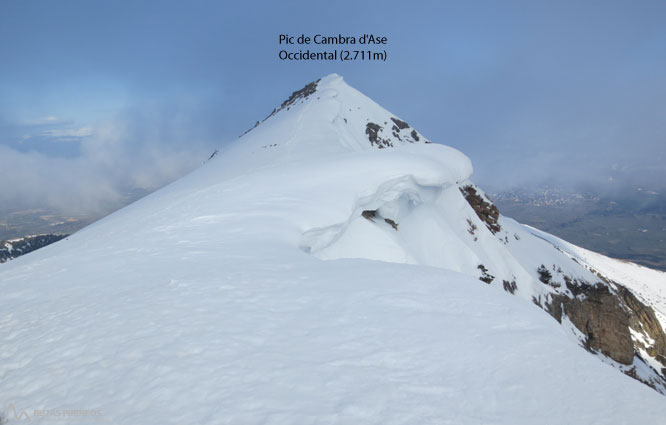 El corredor Vermicelle a Cambra d