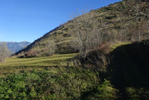 El camí s´acaba en uns prats. Girem a l´esquerra travessant tot el prat.