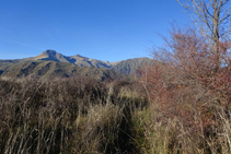 Vista al NO des de la collada de Trases, amb el Montsent de Pallars.