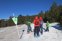 Seguim les indicacions i ens endinsem al bosc.