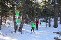 Trencall de camins: refugi del Pradell (esquerra) / estany de l´Orri (endavant).