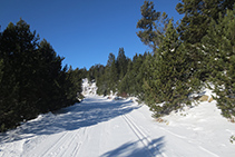 Pista d´esquí nòrdic anomenada "l´Autopista".