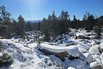 Zona de tartera que trobem al Clot de l´Orri.