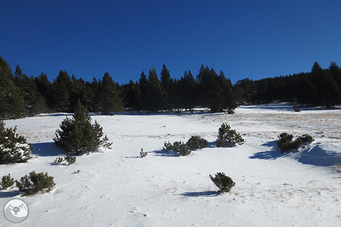 Estany de l