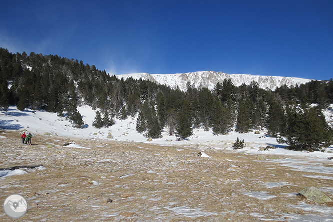 Estany de l