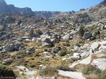 Ens queda l´última pujada fins a l´estany del Cap dels Pessons.