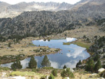 Estany Forcat.