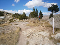 Una alternativa a la pista de pujada és el camí de marques blaves que baixa pel mig del bosc.