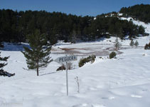 La Collada és una zona d´aigua estancada. Veiem la pista que ve del Pla de la Creu de Fumanya.