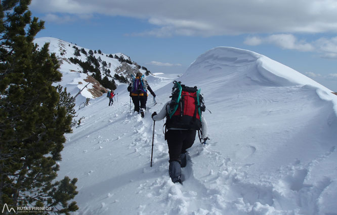 Gallina Pelada (2.317m) per Peguera 1 