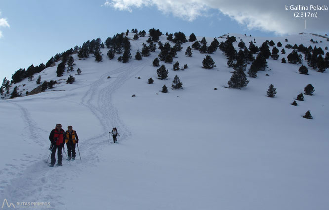 Gallina Pelada (2.317m) per Peguera 1 