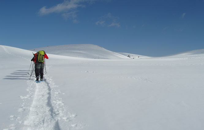 Gallina Pelada (2.317m) per Peguera 1 