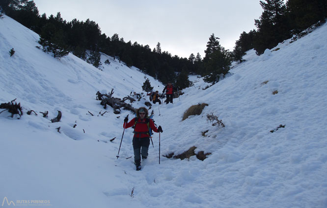 Gallina Pelada (2.317m) per Peguera 1 