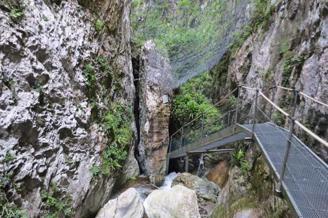 Els canyons de la Fou (Gorges de la Fou) 1 