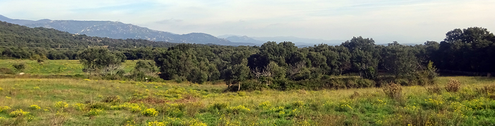 GR 11 - Etapa 04: Requesens - La Vajol