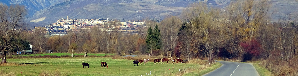 GR 11 - Etapa 11: Planoles - Puigcerdà