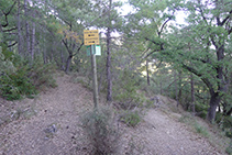 A l´esquerra, el primer corriol que ens portaria cap al Grau de Porta. Nosaltres seguim recte pel camí de la dreta.