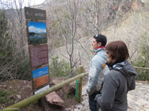 Plafons informatius al llarg del camí que ens parlen de la vegetació i de la fauna de la zona.