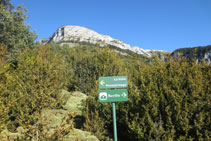 Agafem el camí de la dreta cap a Revilla.