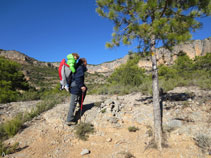 L´itinerari va seguint marques grogues.