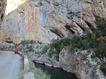 La carretera al costat del riu que va serpentejant pel Congost de Collegats.