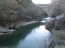 Riu Noguera Pallaresa amb la tirolina per travessar el riu.