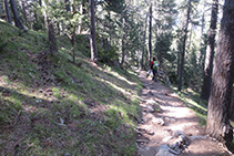 Caminant per l´interior del bosc.