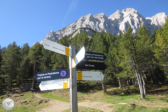 Pedraforca (2.506m) pel coll del Verdet i l